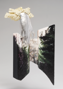 Kuki Constantinescu kopia